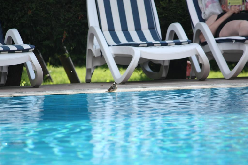 Residence Val Di Monte Малчезине Екстериор снимка